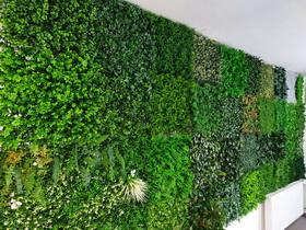 showroom STUDIOGREEN